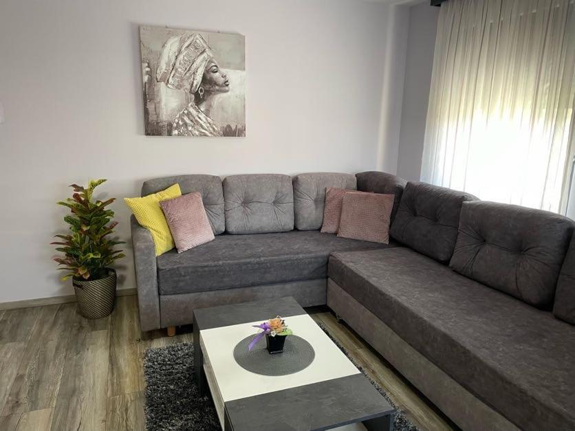 Apartments Dora סבטי מרטין נה מורי מראה חיצוני תמונה